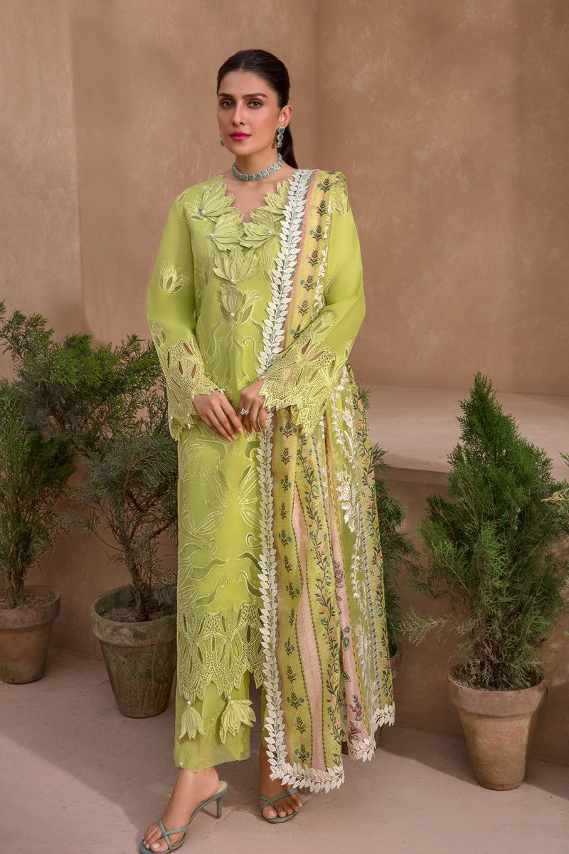 Buy Now, Lime - Premium Eid Collection 2023 - Rang Rasiya - Shahana Collection UK - Wedding and bridal party dresses