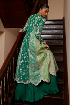 Sorelle by Soraya Official Paneled Suit - Shahana Collection UK
