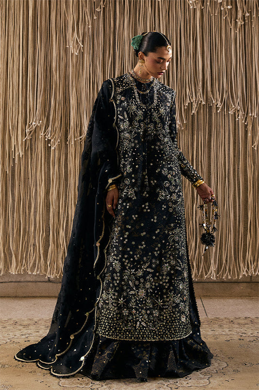 Kiaray - Freeshia RTW 25 - Shahana Collection