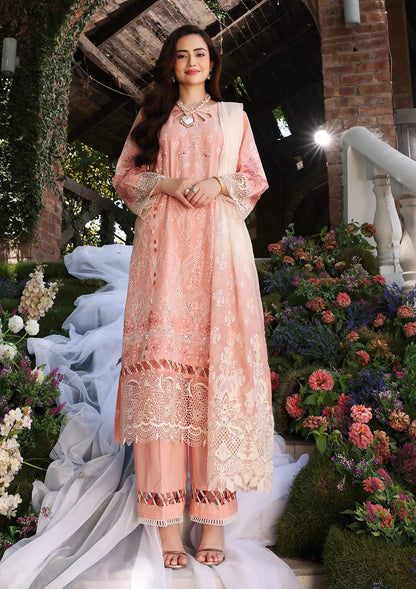 Shop Now, D#6 CINDRELLA - Festive Chikankari 2023 Vol.2 - Elaf Premium - Shahana Collection UK - Wedding and Bridal Party Dresses 