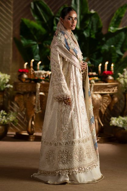 SOPHIA Saad Bin Shahzad | Shahana Collection UK
