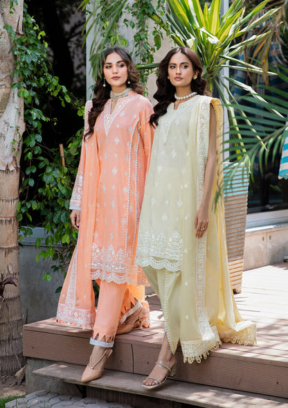 Buy Now, LOOK 3A - AIK Lawn'23 - Vol. 2 - Shahana Collection UK - Wedding and Bridal Party Dresses - Aik Atelier 