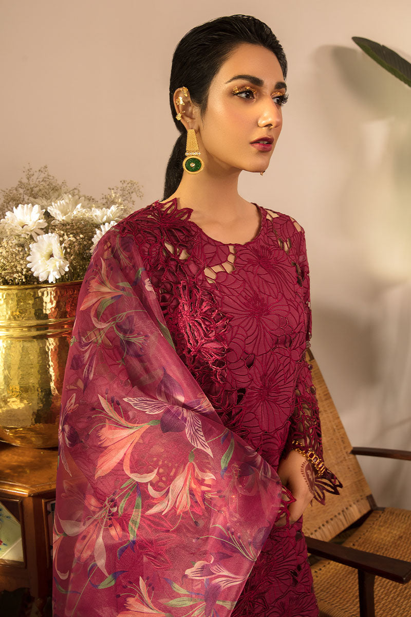 Aysel - Rehmat Luxury Eid Collection'23 - Rang Rasiya - Shahana Collection UK - Festive Eid 2023